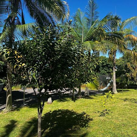 L'Escapade Creole Jacuzzi Privatif Bungalow Ananas 생조세프 외부 사진